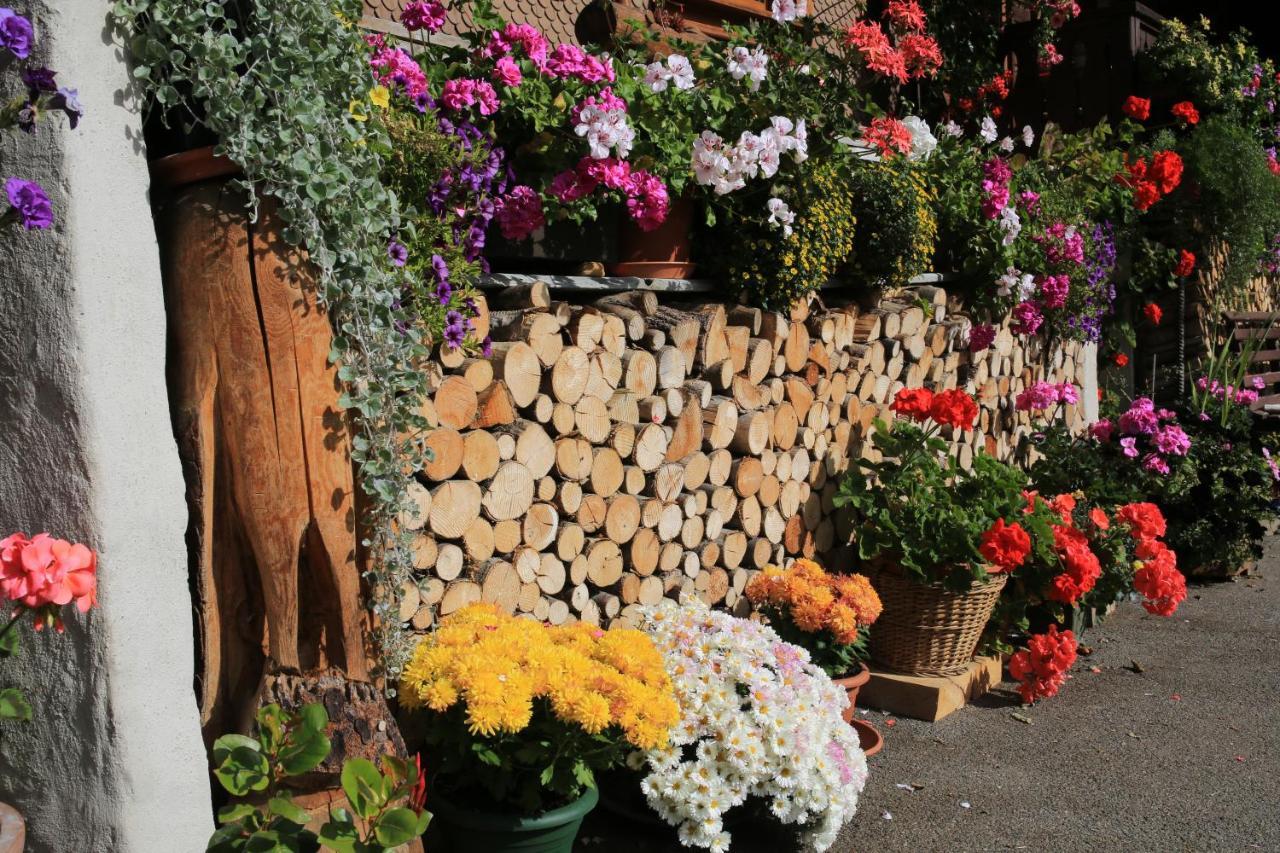 Hotel Kirchbuehl Im Schwarzwald Hotel Schönau im Schwarzwald エクステリア 写真